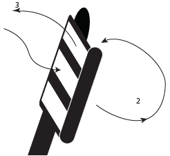 Buckle strap diagram