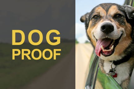 Dog Seat Covers Logo