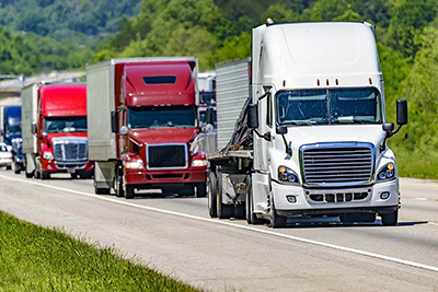 Fleet Truck Line Up