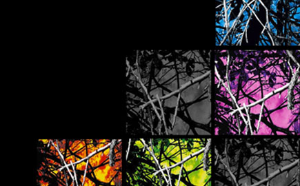 Moon Shine Seat Covers: Pick Your Adventure