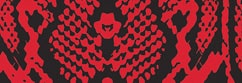 Animal Print Snake Vector Black and Red