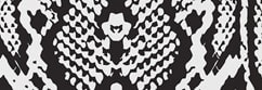 Animal Print Snake Vector Black and White
