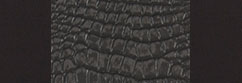 Exotic Sof-Touch Black with Ebony Croc