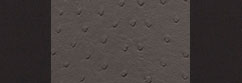 Exotic Sof-Touch Black with Charcoal Ostrich
