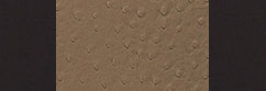 Exotic Sof-Touch Black with Sandstone Ostrich