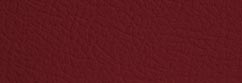 Imitation Leather Red