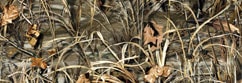 Luxury Realtree Camo MAX-4 HD
