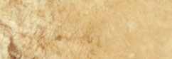Sheepskin Tan