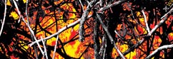 Wildfire Camo Solid