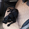 Universal Pet Seat Covers